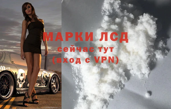 стаф Абаза